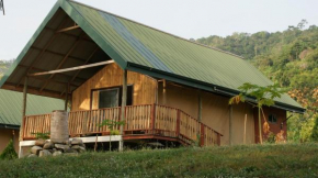 Lodge Hummingbird - Lake Bosomtwe